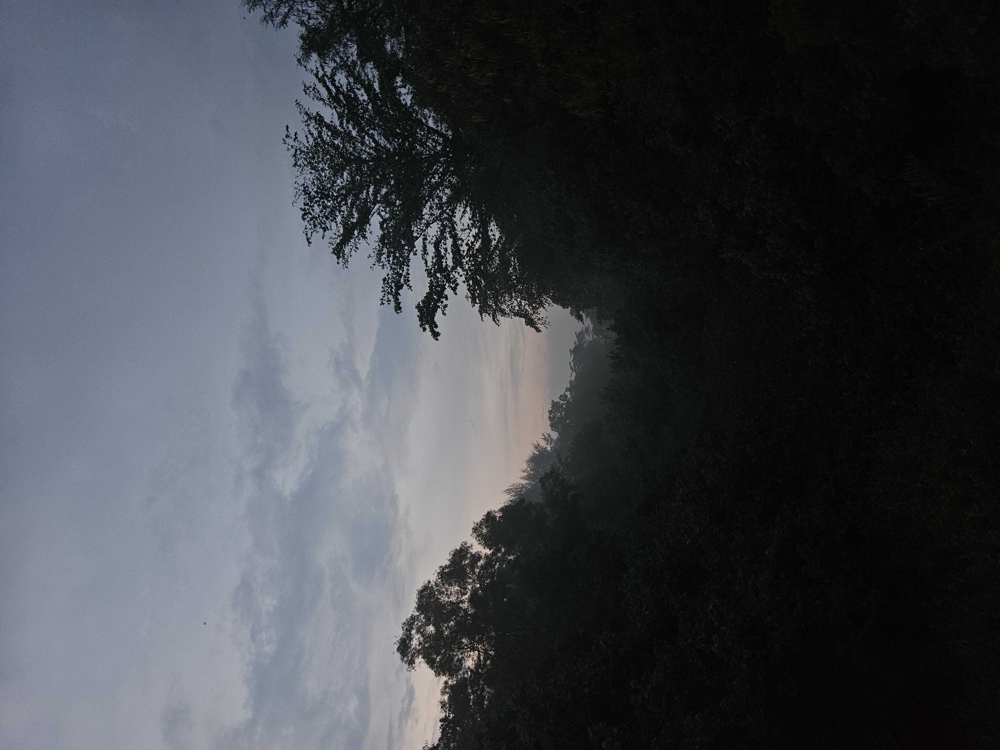 Project Screenshot 1